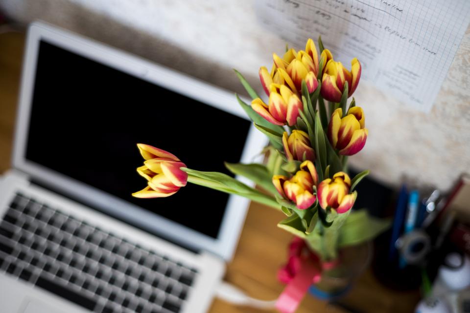 Laptop on the left side of image with a bouquet of yellow and red tulips to the right.