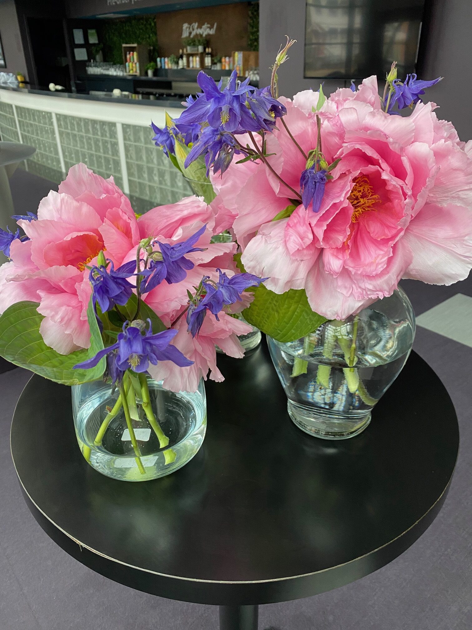 Colour flowers in a vase