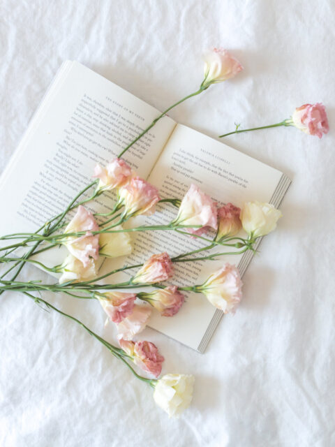 Flowers over an open book to display couples counselling, relationship counselling, counselling for friendships, counselling for partners, marriage counselling, family counselling. 